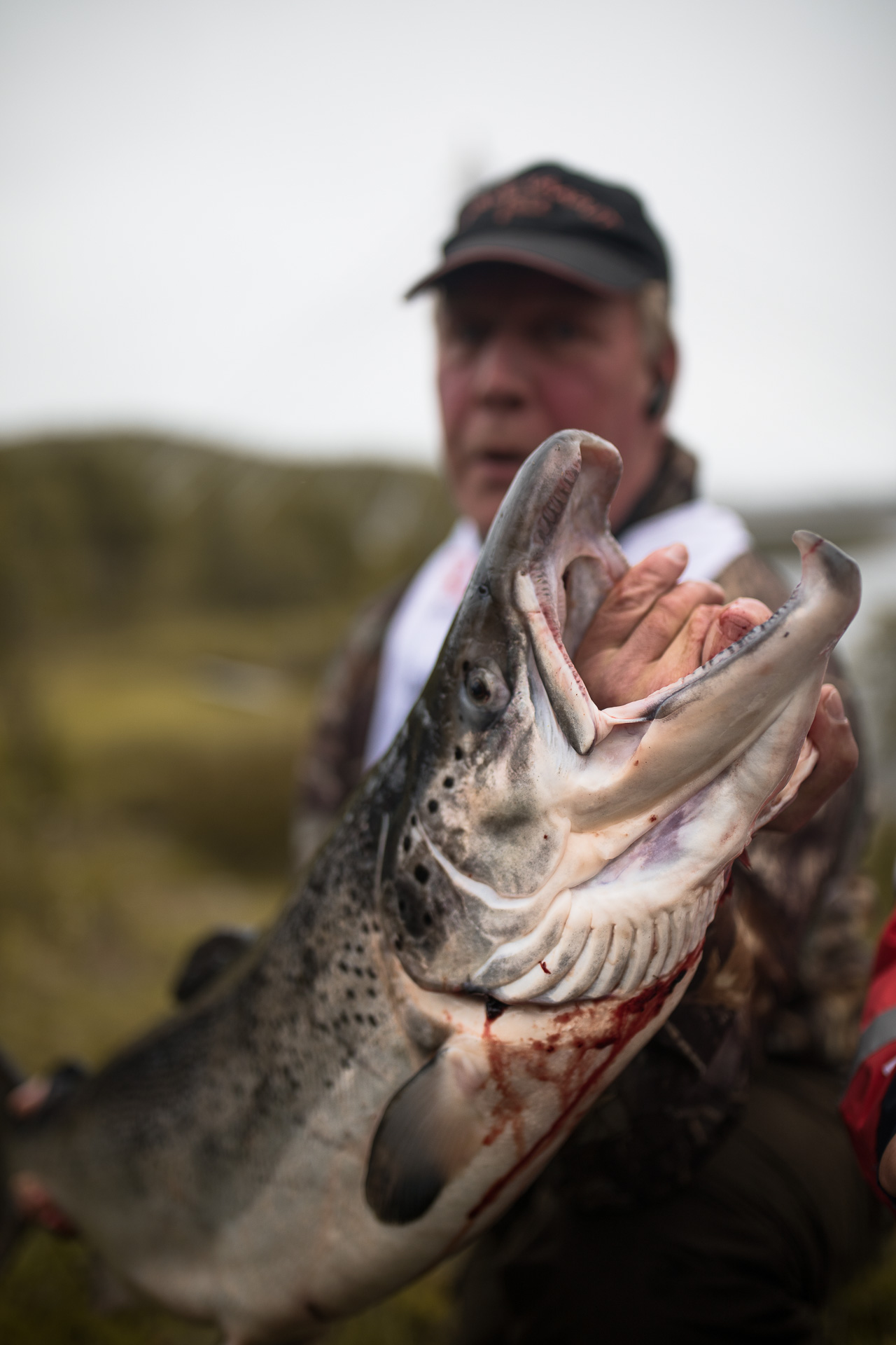 Catch a fish in Scandinavia - Gone71° N